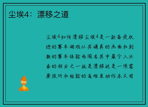 尘埃4：漂移之道